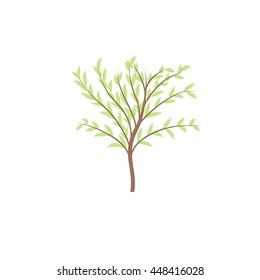 The thin trunk of the tree with leaves. Forest and park element. Elegant design. Vector illustration, symbol and logo.