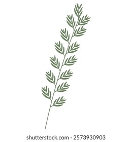 Thin twig with green leaves. Vector flat illustration on white background