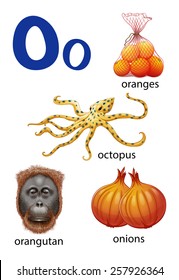 Things that start with the letter O on a white background