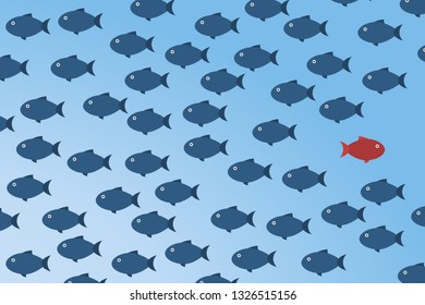 Think differently -One red unique different fish swimming opposite way of identical blue ones.  