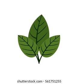 Think green ecology