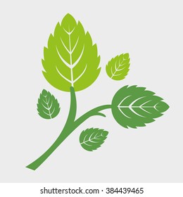 Think green. Seedling and leaf.