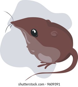 Thinking rat with a gloomy smile	