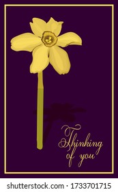 Thinking of you - card.Yellow flower Narcis. Eps10 vector stock illustration