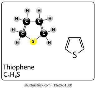 Thiophene Molecule Structure