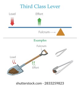 Third Class Lever Diagram with Load, Effort, Fulcrum and Examples of a Shovel and Tongs.