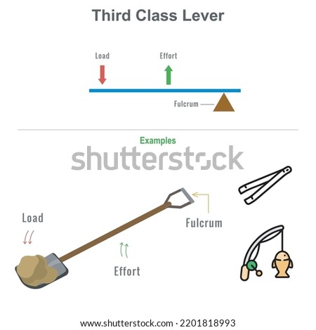 Third class Lever educational diagram including Third class showing relation between fulcrum and resistance as a load and force as an effort showing their positions. Lever types with examples shovel