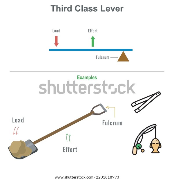 first class lever