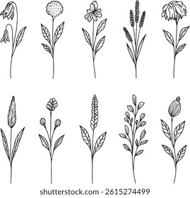 Third set of hand-drawn botanical line illustrations featuring a variety of dried flowers. Clean and stylish outlines for modern design needs.