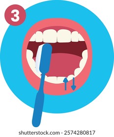 Third Step of How to Brush Your Teeth Step by Step Instruction Flat Illustration