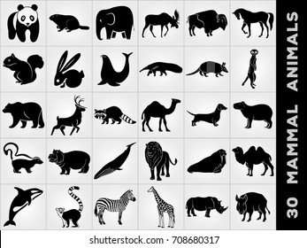 Thirty Mammalian Animals icon set