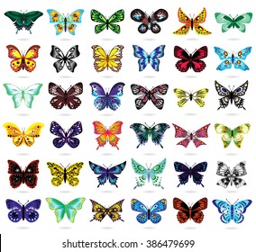 Thirty-six colorful butterflies