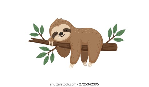 Esta adorable ilustración presenta un lindo perezoso de dibujos animados durmiendo pacíficamente en una rama de árbol. Es un gráfico de Vector perfecto para los diseños de los niños y transmite una sensación de calma, relajación y la