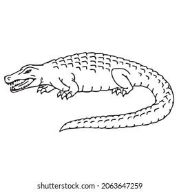 1,656 Line drawing alligator Stock Vectors, Images & Vector Art ...