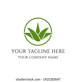 this is alo vera plant logo can be used for alo vera or organic company. this is minimal creative and attractive