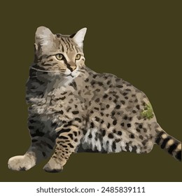 This is a Andean Mountain Cat (Leopardus)