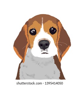 This article is about the dog breed. For other uses, see Beagle (disambiguation).