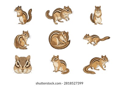 This artistic set features nine high quality watercolor illustrations of adorable chipmunks depicted in various poses. Each hand painted figure captures the unique essence of these small woodland rodents with soft brown fur textures and detailed stripes.