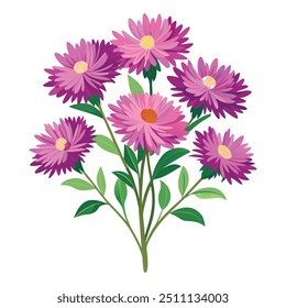 Este é o vetor de flores Aster com ilustração