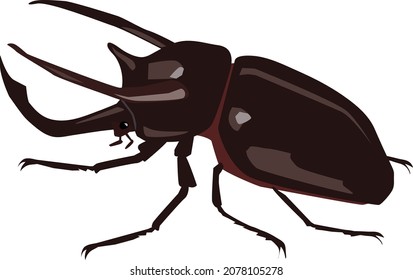 this is a Atlas beetle artwork