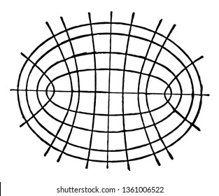 This attractive image shows the common surface that curves smoothly, vintage line drawing or engraving illustration.