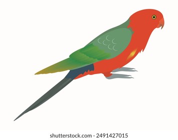 This Australian king parrot vector features vibrant red and green plumage, with a striking green tail. Perfect for adding a touch of exotic beauty to any design or project, 