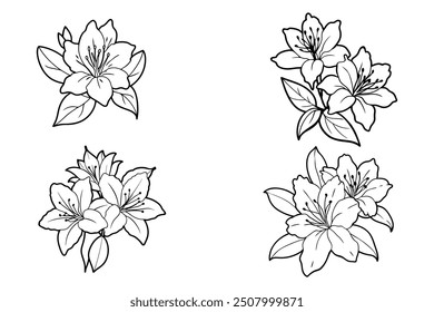 This is azalea flowers vector illustration