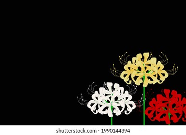 This is a background illustration of colorful red higanbana flowers.