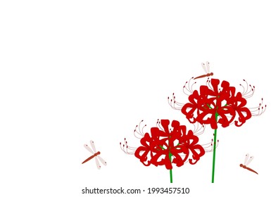 This is a background illustration of higanbana and dragonflies.