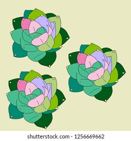 This is a background of succulent
