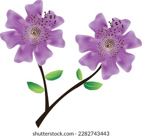 Este es el diseño de vectores de flores de banaba