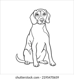 this is a Beagle , Beagle line art, Beagle line drawing,vector art,illustrations