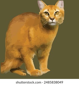 This is a beautiful Asiatic Golden Cat 