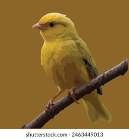 This is beautiful bird. Its name canary.