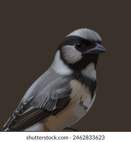 This is a beautiful bird. Its name chickadee.