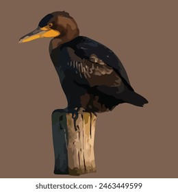 This is beautiful bird. Its name cormorant.