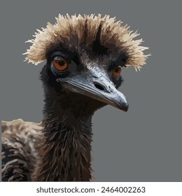 This is a beautiful bird. Its name    Emu.    