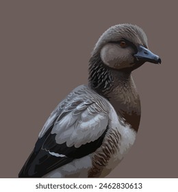 This is a beautiful bird. Its name goose.