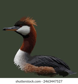 This is beautiful bird. Its name grebe.
