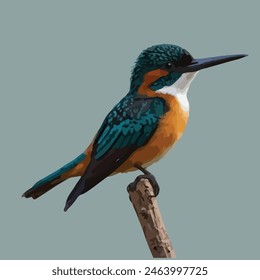 This is a beautiful bird. Its name     Jacamar. 