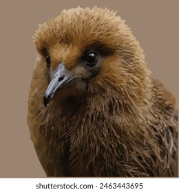 This is beautiful bird. Its name kiwi.