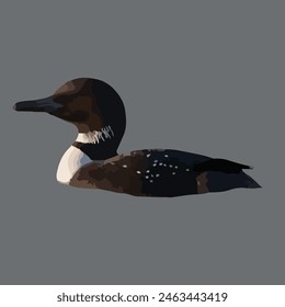 This is beautiful bird. Its name loon.