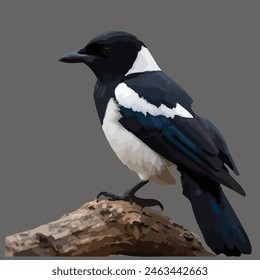 Este es un pájaro hermoso. Su nombre es urraca.