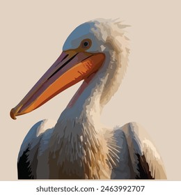 This is a beautiful bird. Its name     Pelican.