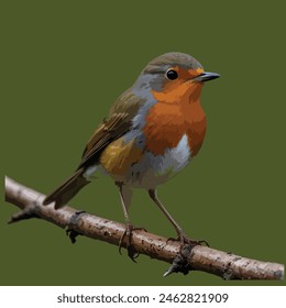 This is a beautiful bird. Its name robin.