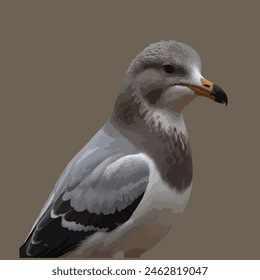 This is a beautiful bird. Its name seagull.