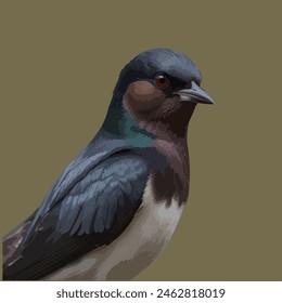 This is a beautiful bird. Its name swallow.