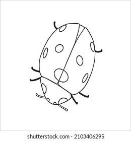 this is a beautiful and cute ladybugs images line art ,ladybugs outline drawing,vector art and illustrations art