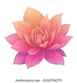 This is a beautiful floral illustration featuring a vibrant bouquet of red, pink, and purple flowers. Each flower is finely detailed, giving the design a natural and fresh look.

