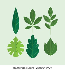 Este es un hermoso vector de recolección de hojas.
